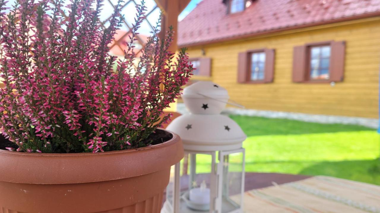 Holidayhouse Chalupa Alzbetka Važec المظهر الخارجي الصورة